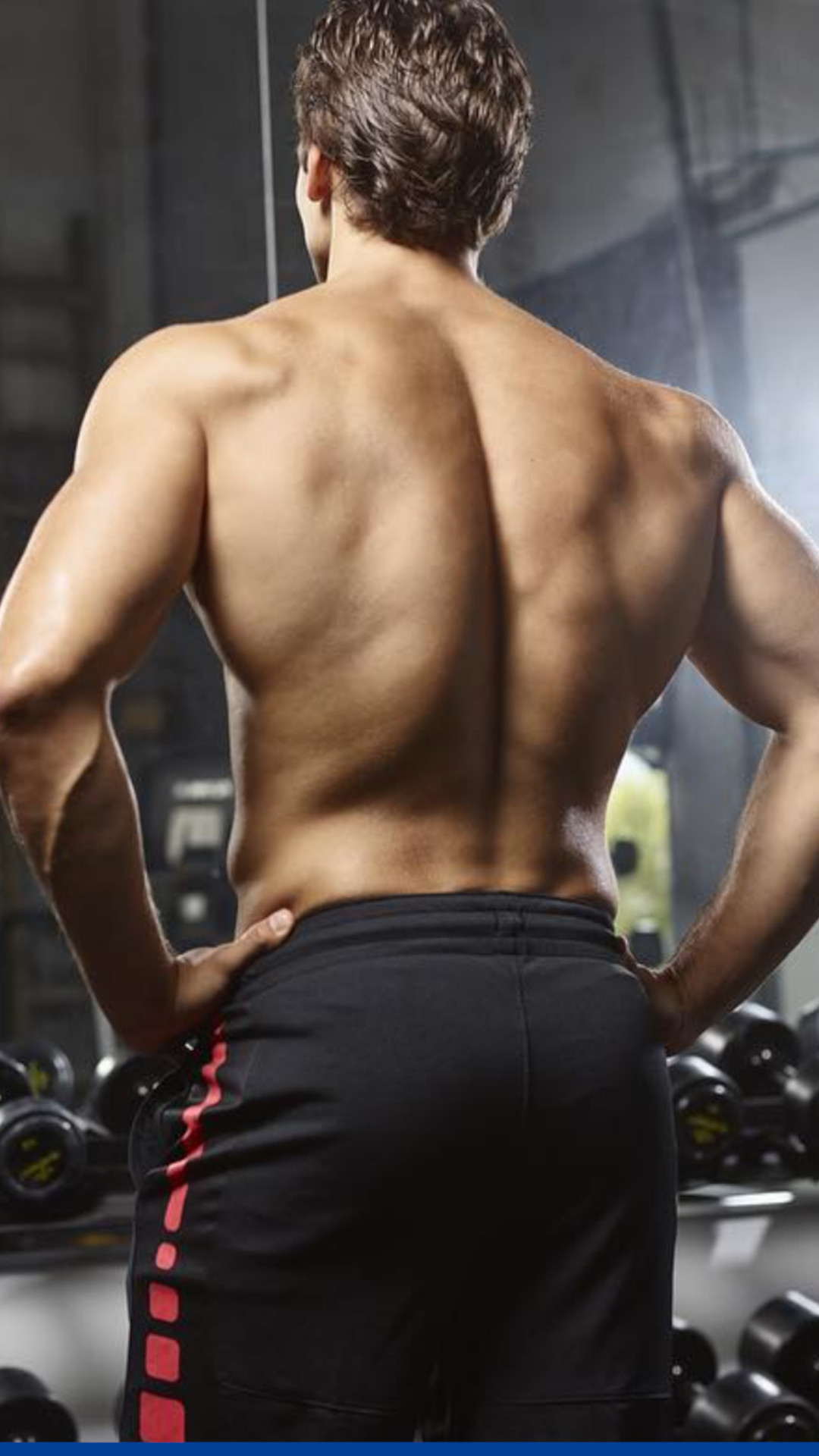 Workout Plans