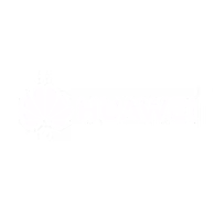 Partner Logo 2