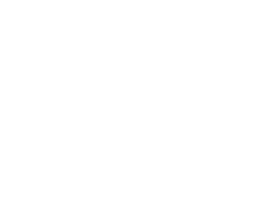 Tech Logo 3
