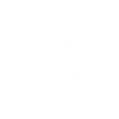 Mullet illustration